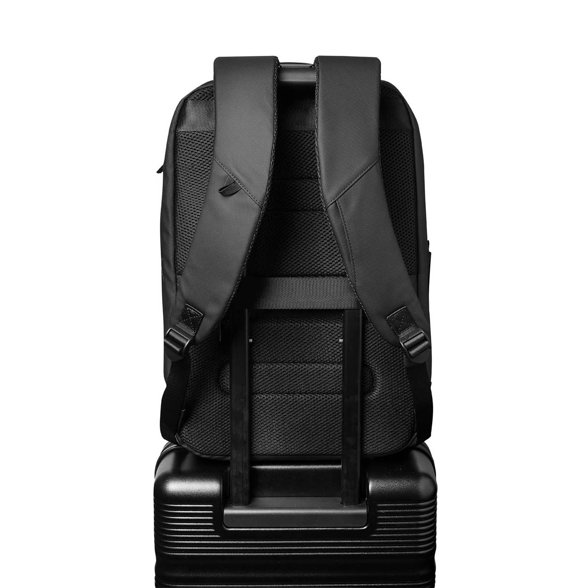 DM-560 - Image 4